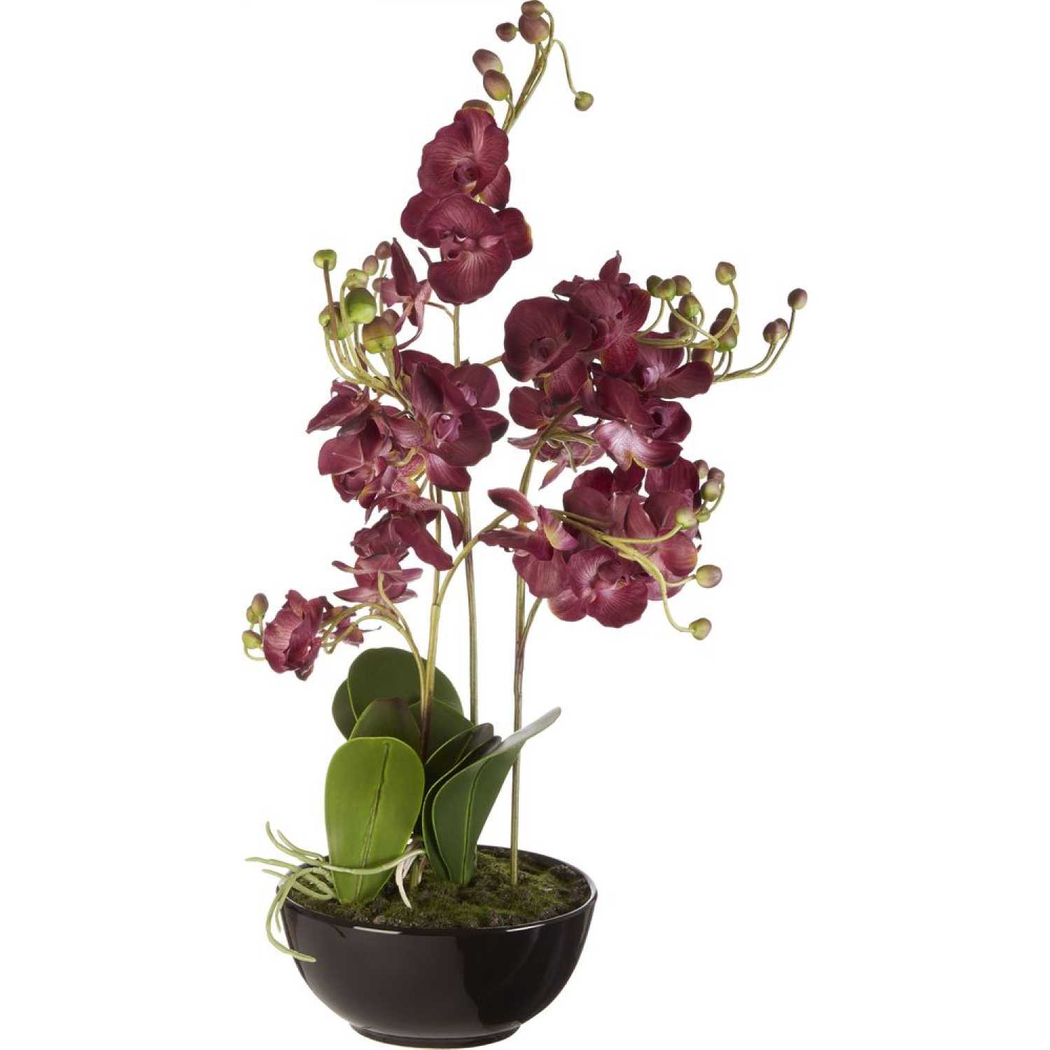 Naken Interiors Orchid Artificial Plant & Pot - Purple